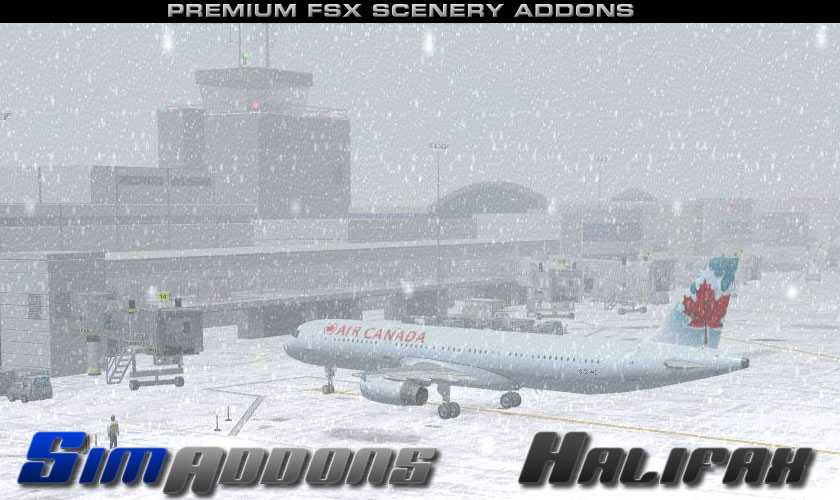 FSX snow effect